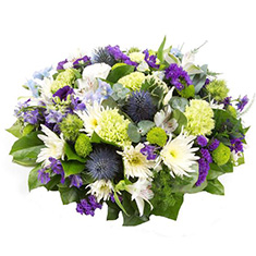 PURPLE AND LIME POSY
