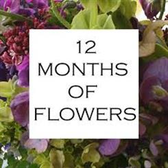 FLOWERS EVERT  MONTH for 12 months  - one month free