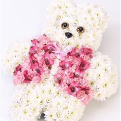 TEDDY BEAR TRIBUTE 
