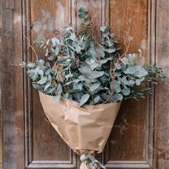 JUST EUCALYPTUS