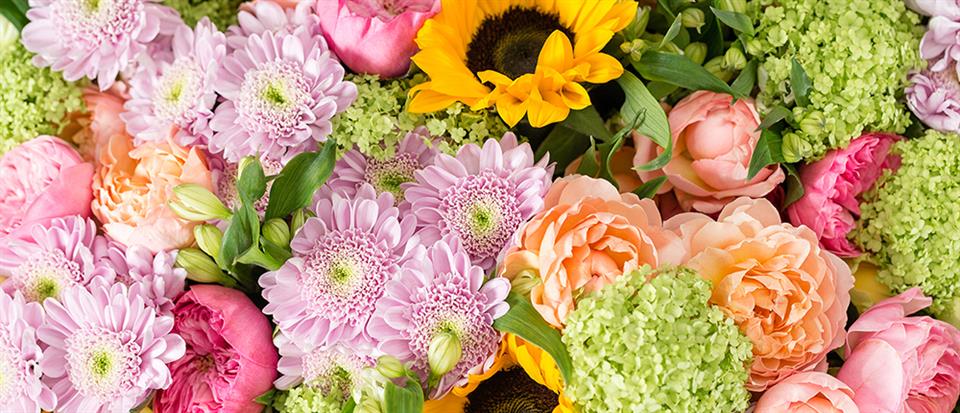Summer Flowers St Neots